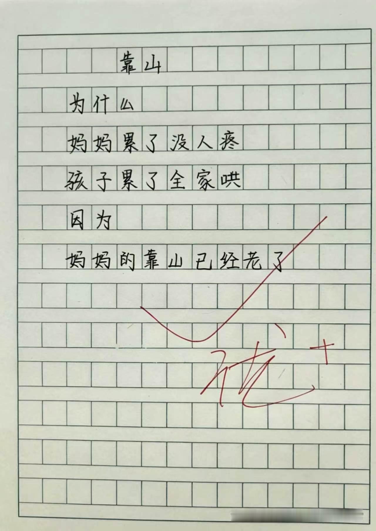一篇小学生的作文看哭了无数人。