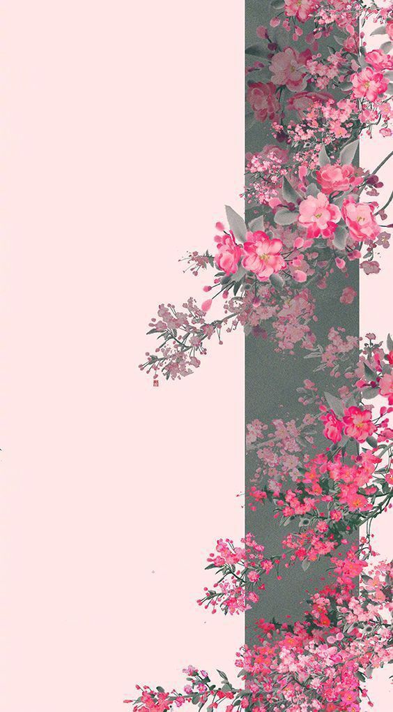 壁纸 花朵💐 