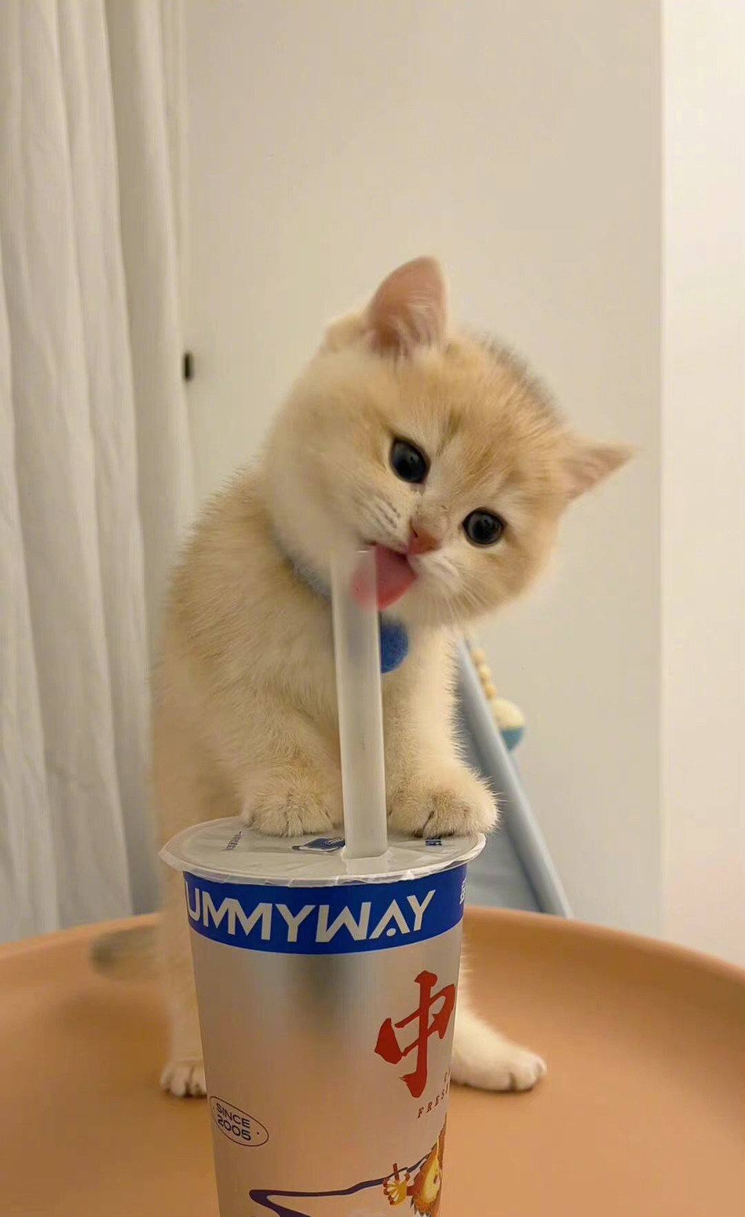 被嫌弃后，太委屈啦！！！