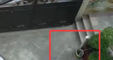 快递小哥隔门送件精准扔进垃圾桶 网友：不打篮球可惜了