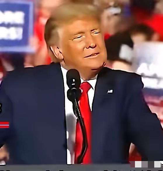 特郎普这一下子脸都绿了吧！他所领导的共和党在三个重要州州长选举中落败。从严格意义