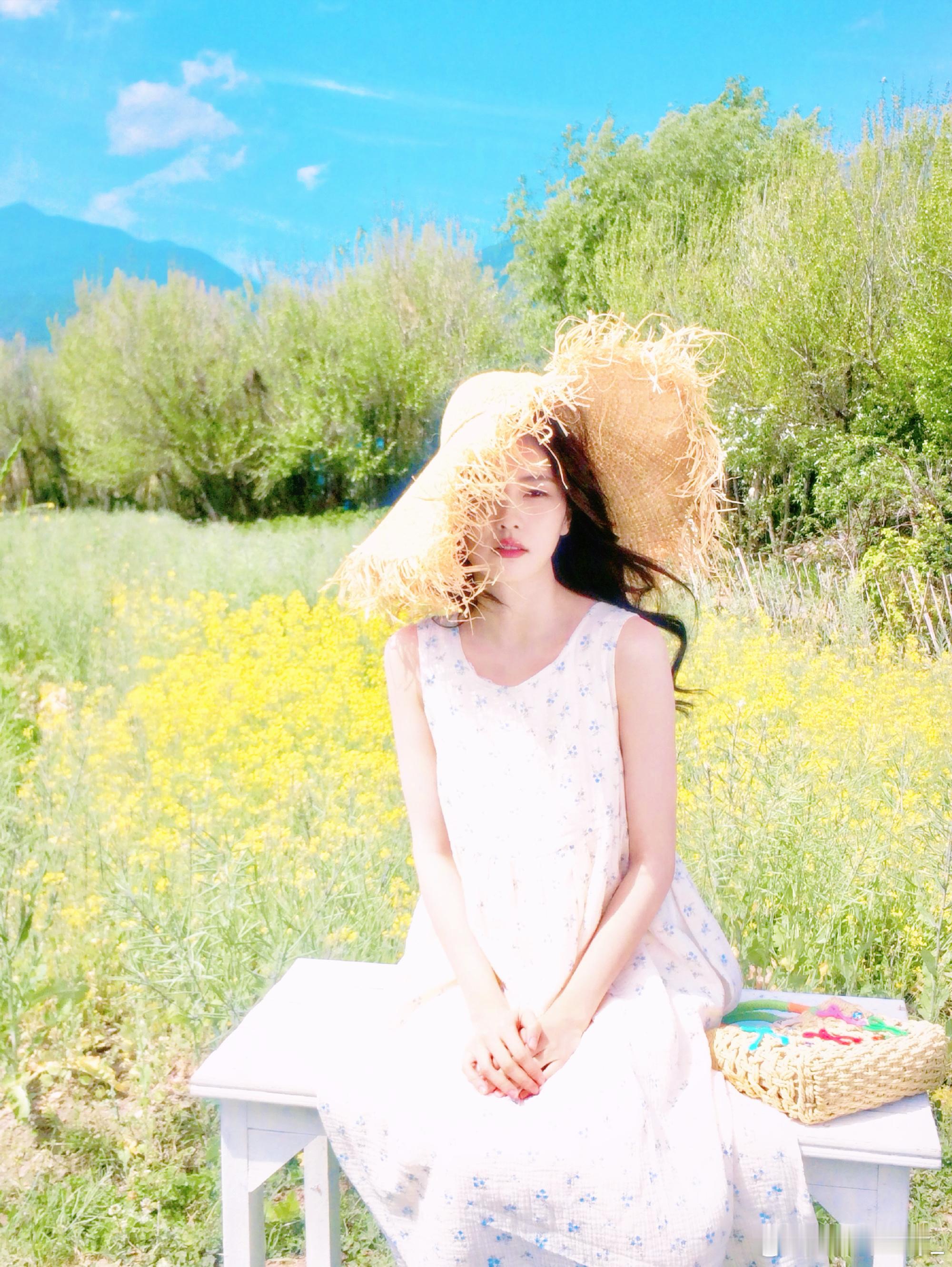 晴天 田野 小黄花白鹿 🌼白鹿叶璃