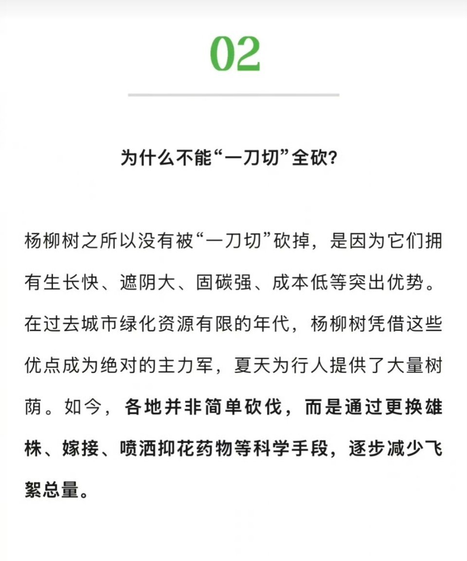 每年一到飘絮的时候，好多人都喊着要把杨柳树全砍了。但真全砍了，夏天少了大片阴凉，