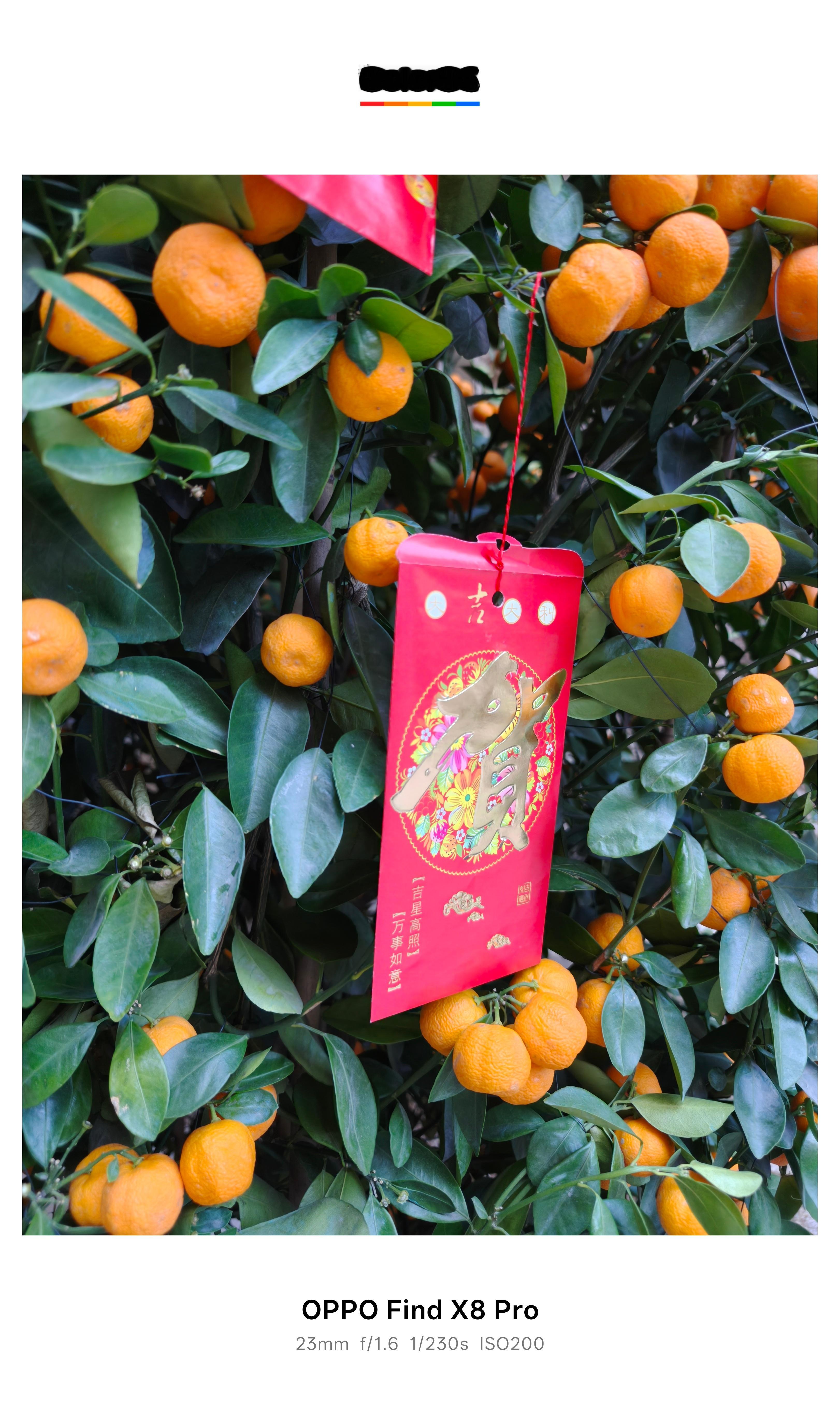 宝子们你们开工了吗？评论区6个红包🧧开工利是 