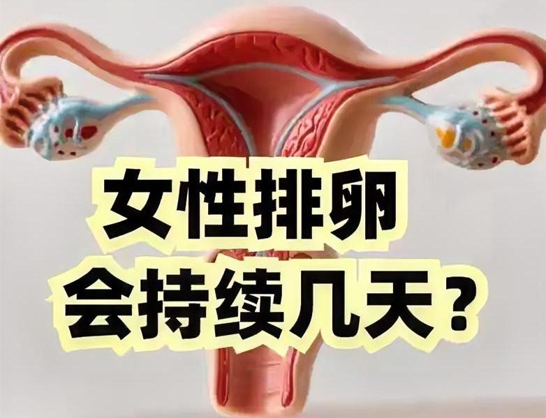我闺蜜上个月备孕急得直掉眼泪，算来算去就是怀不上，后来才发现她连排卵期都算错了！