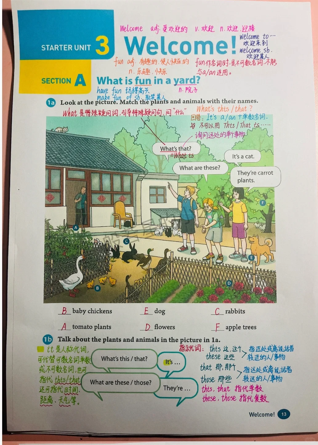 人教版新版七年级英语上册Starter Unit3