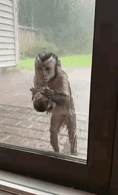 积善之家必有余庆