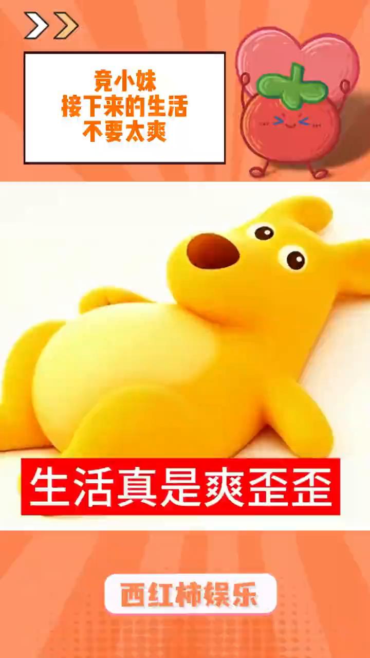 竞小妹接下来的生活不要太爽。
西红柿娱乐。
不敢想象接下来竞小妹的日子到底会有多