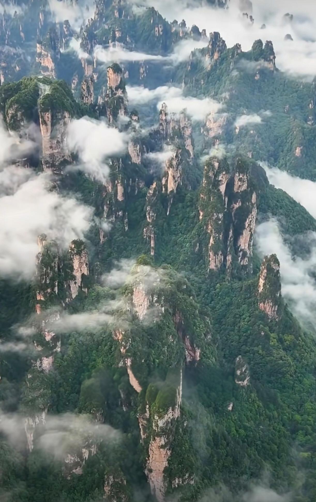 今天忙了一天事儿，去接老伴儿下班前，供热上门来测温搞的我心绪又不宁～

结果，在