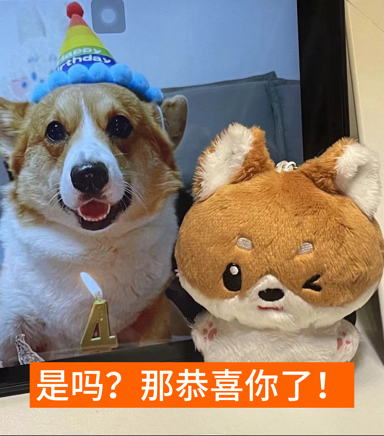 这是一个感人的故事✌🏽🙂↔️✌🏼