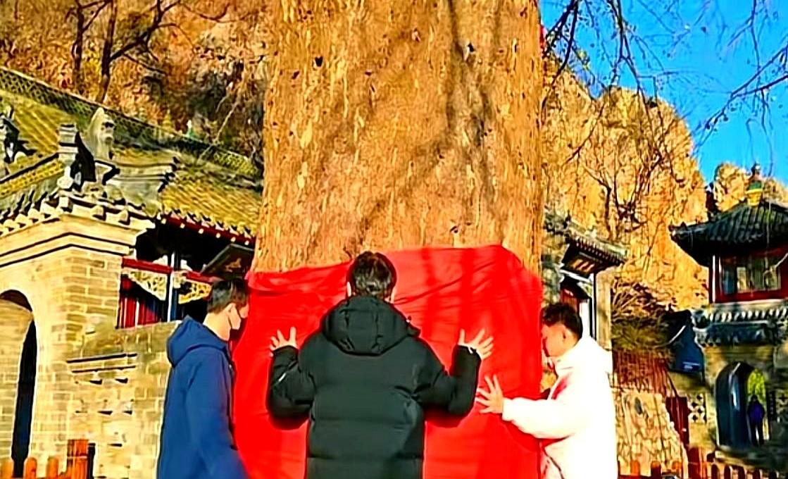 “你们怎么不带摄影师？”住持一句玩笑，把李乃文噎住。

他摸摸鼻子：“带了，在心