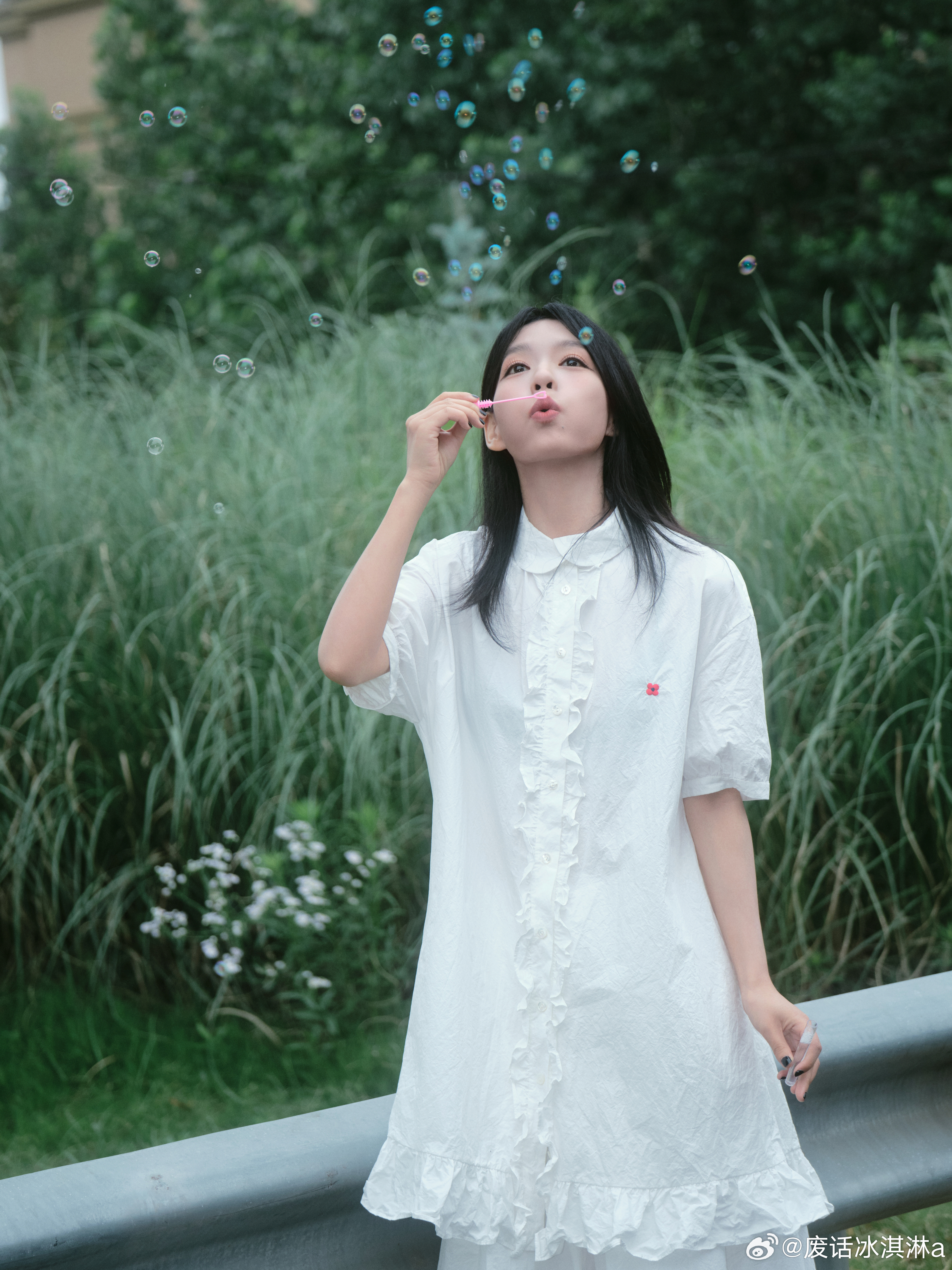 房东的猫新专辑不擅生长的树又有可以单曲循环的歌曲了，《请对我讲》咋这么好听捏！而