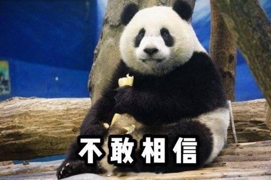 结婚8年3娃非亲生司法鉴定已出这事说了这么久，有个重点好像一直没说，就是孩子的亲