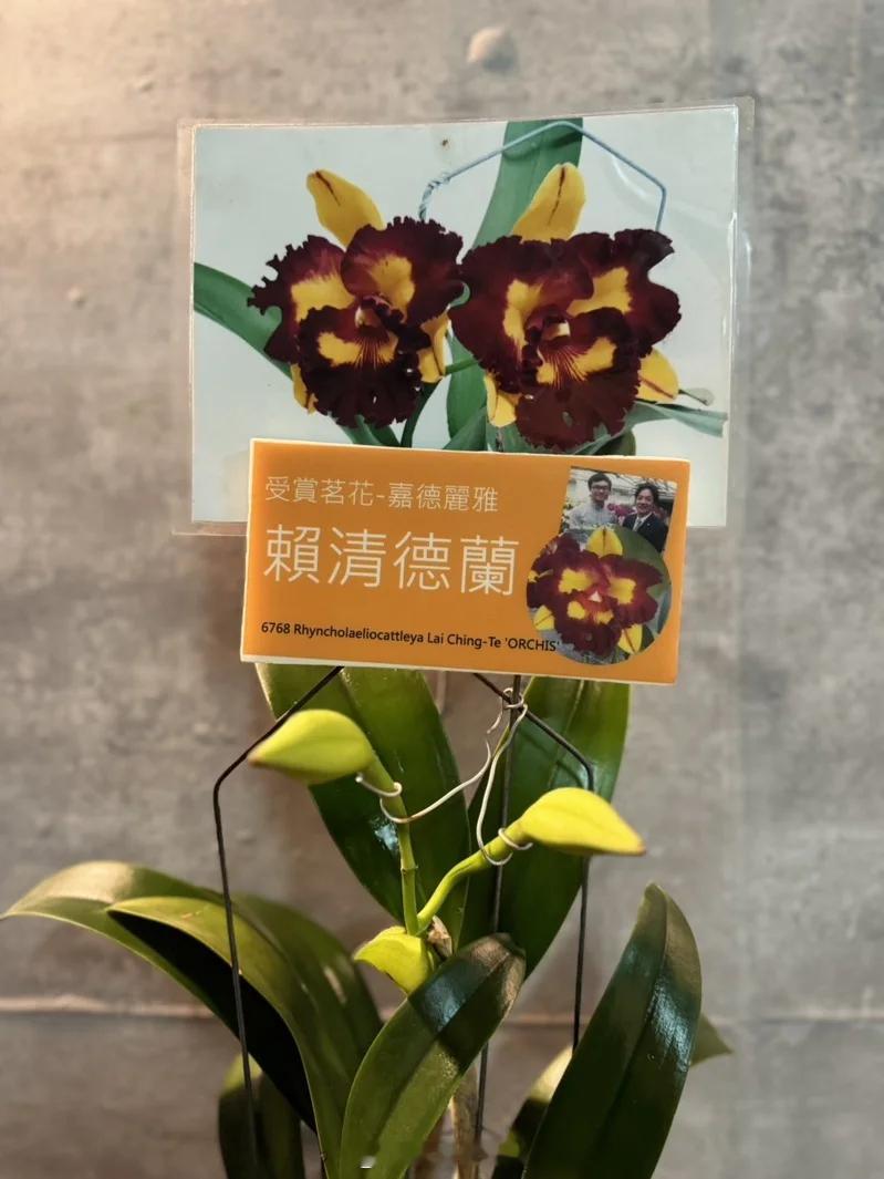 台南山上花园水道博物馆下月将迎接5周年馆庆，10月10至14日安排逾500盆兰花
