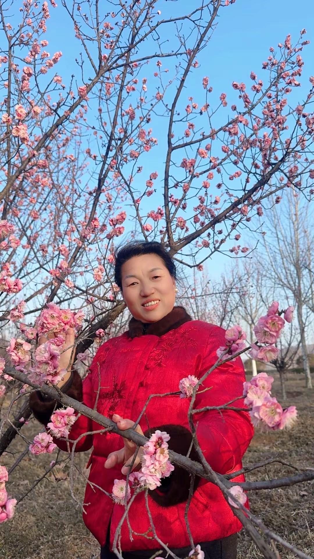 美女们明年继续