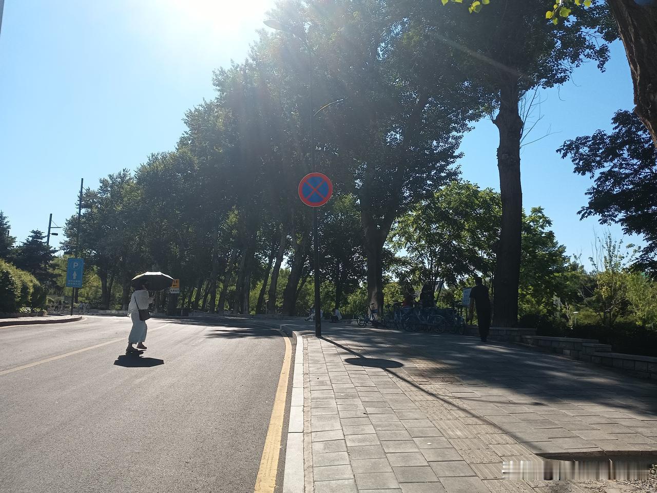 精力旺盛的孙女
昨天，我早上去儿子家把孙女接过来，这一天又是我和孙女快乐的一天。