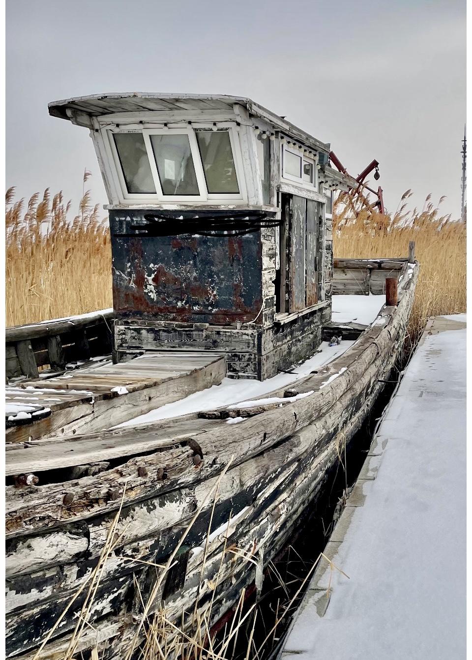 人所有痛苦和烦恼的根源是什么?真诚付出，根本得不到回报，这才是最痛苦的，没有之一