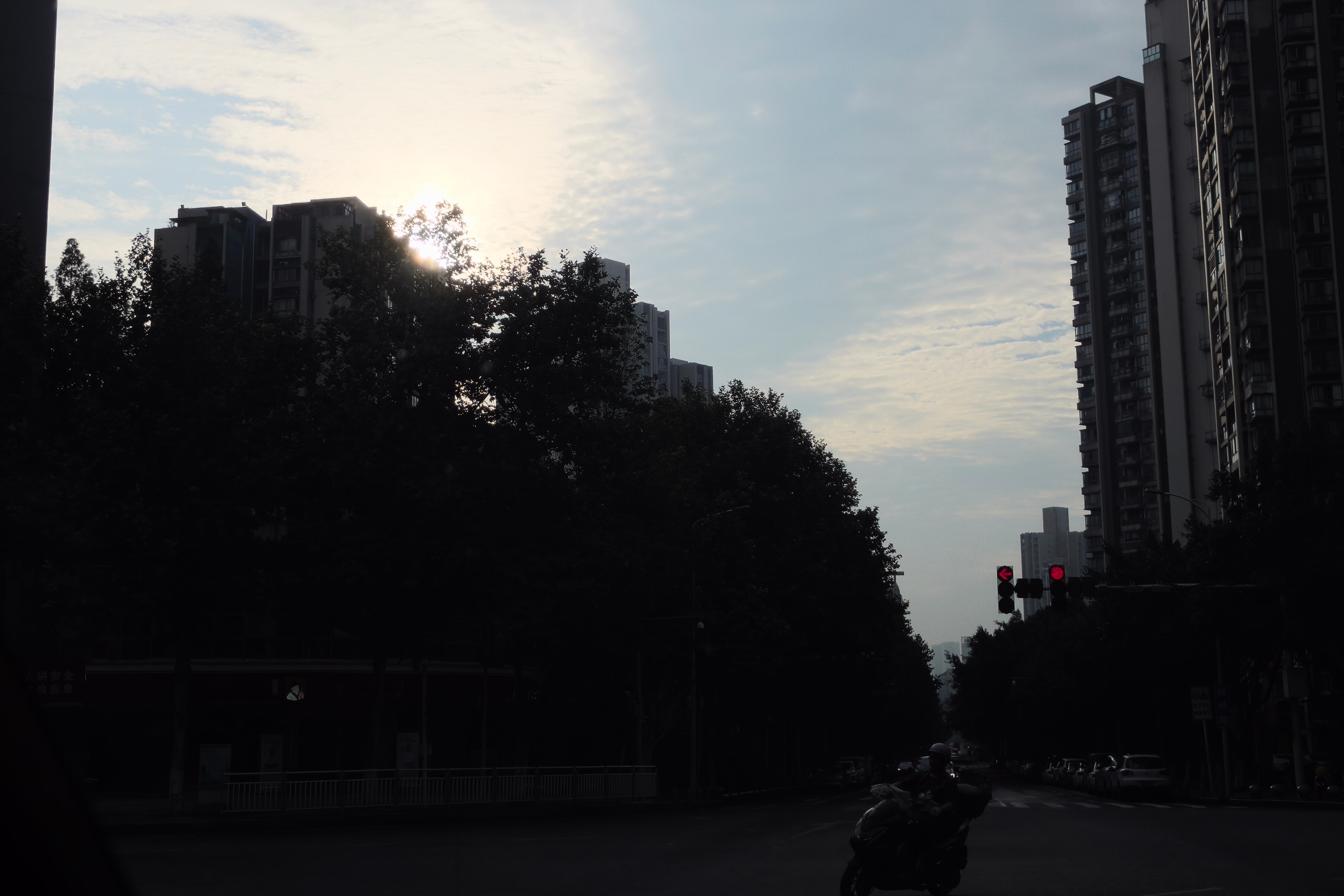 好久好久没有迎着太阳上班了。