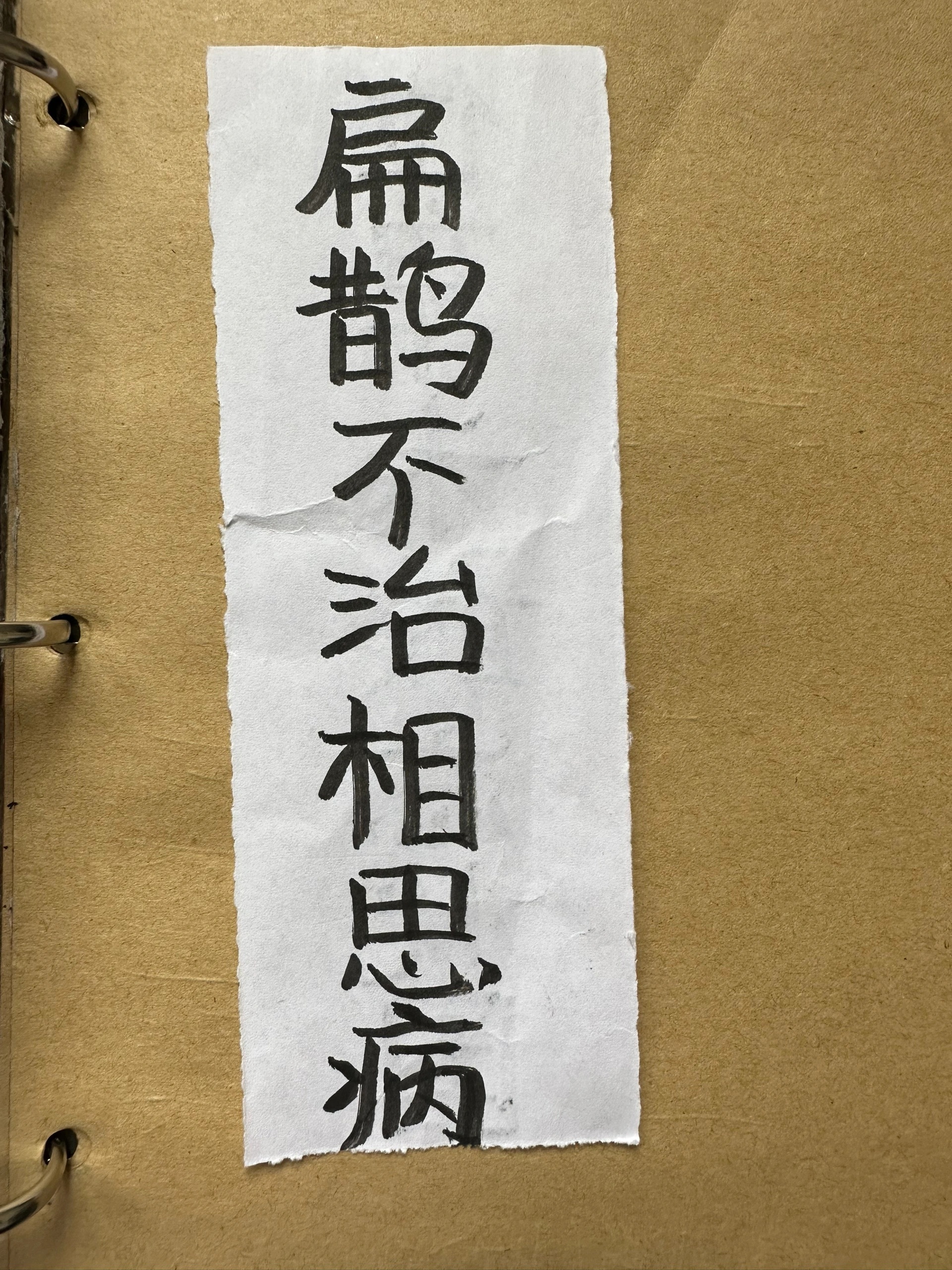 上联：扁鹊不治相思病对王之王对穿肠们，请对下联  #搞笑# ​​​