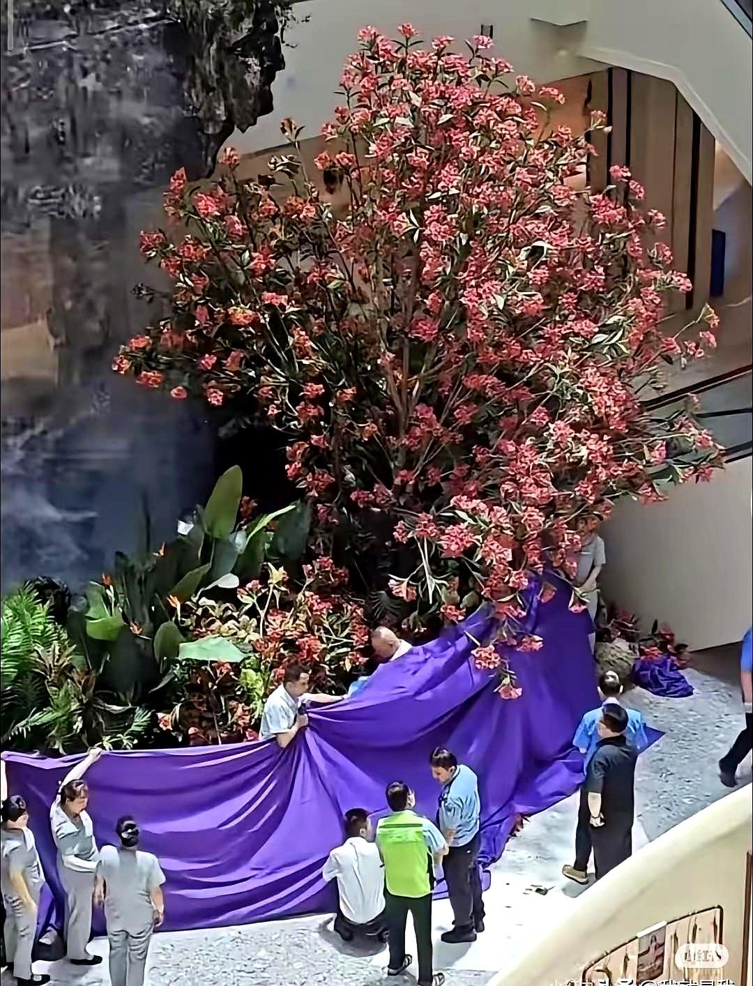 当听见西安一位姓严的服装老板，在六十多岁时从高处一跃的消息传来，胸口像被人捏住。