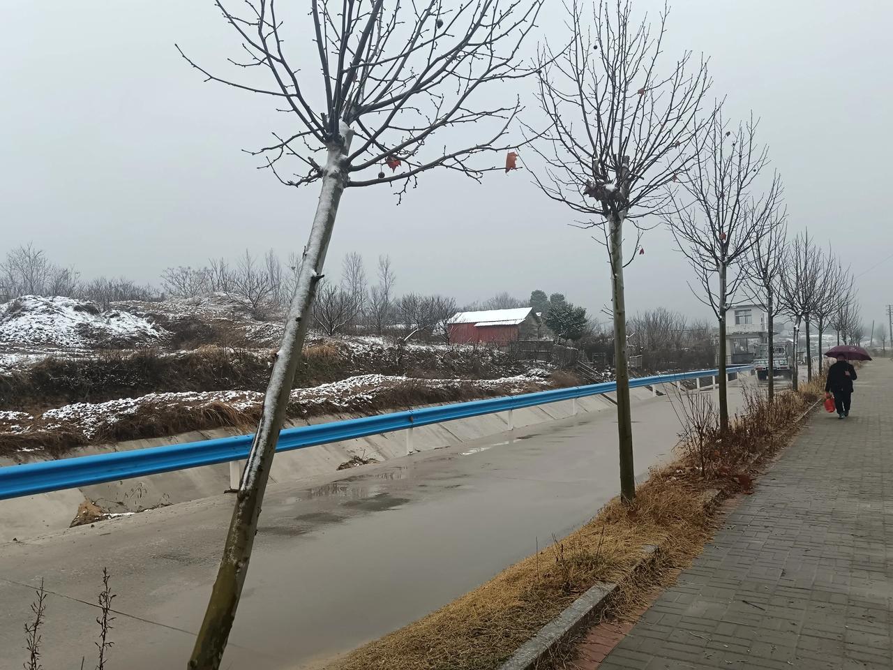 雪景这边独好！
 昨夜，雨丝悠悠地编织着春的序曲，滴答声中满是对新岁的期许。清晨