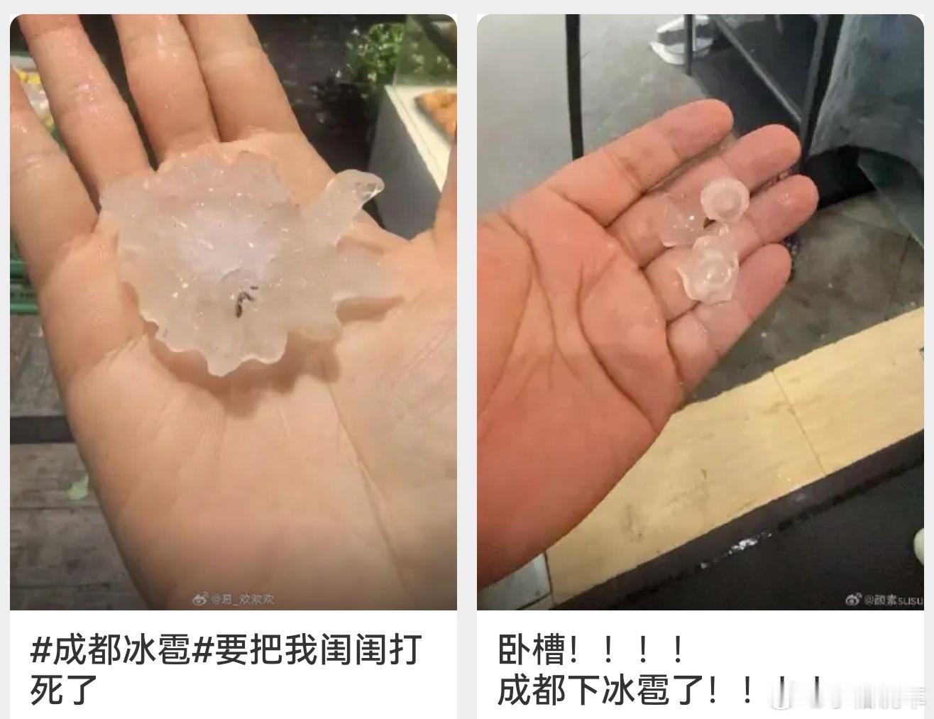 成都冰雹我的天，有这么大的冰雹吗，成都的朋友真的是这样吗？你们现在还好吗，没事别