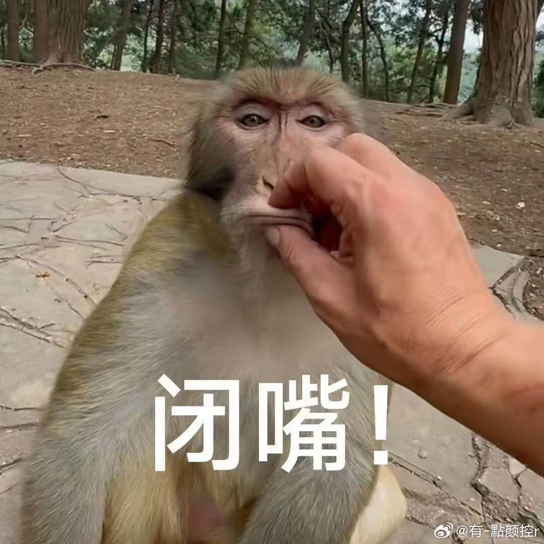 最尊重猴的剧组出现了年度喜剧彩蛋天花板当属年会2！正片上演猴子职场实录，片尾不忘
