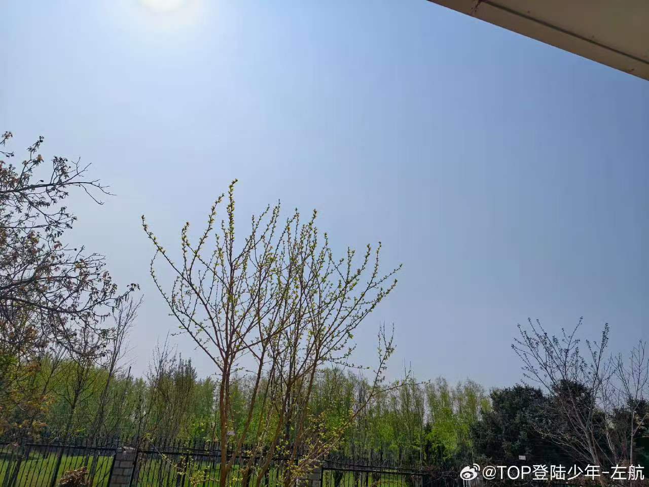 左航阳光下的自拍左航的阳光下自拍 今天阳光明媚太阳有点刺眼，自拍也是非常的帅气~