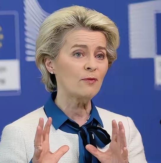 欧盟急了！
12月28日央视新闻传来消息，美乌总统会谈前夕，欧盟委员会主席冯德莱