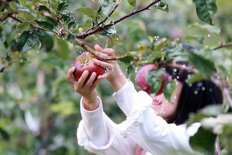 高血压可别瞎吃！ 4种神奇食材轻松降压
减少盐摄入：
每天盐摄入量控制在5克以内