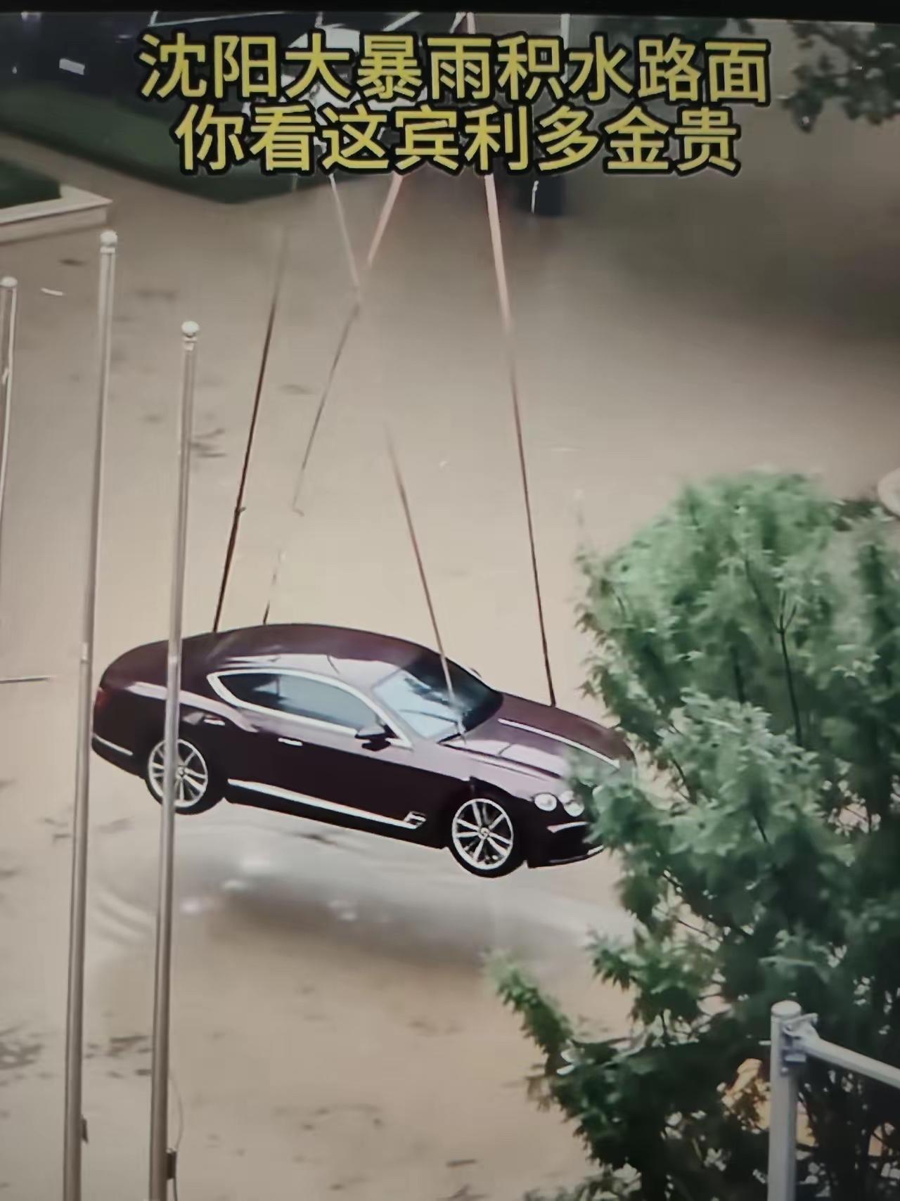 沈阳一宾利车主，

为防止车被水淹，
竟雇吊车把宾利车吊在半空，事实证明做法正确