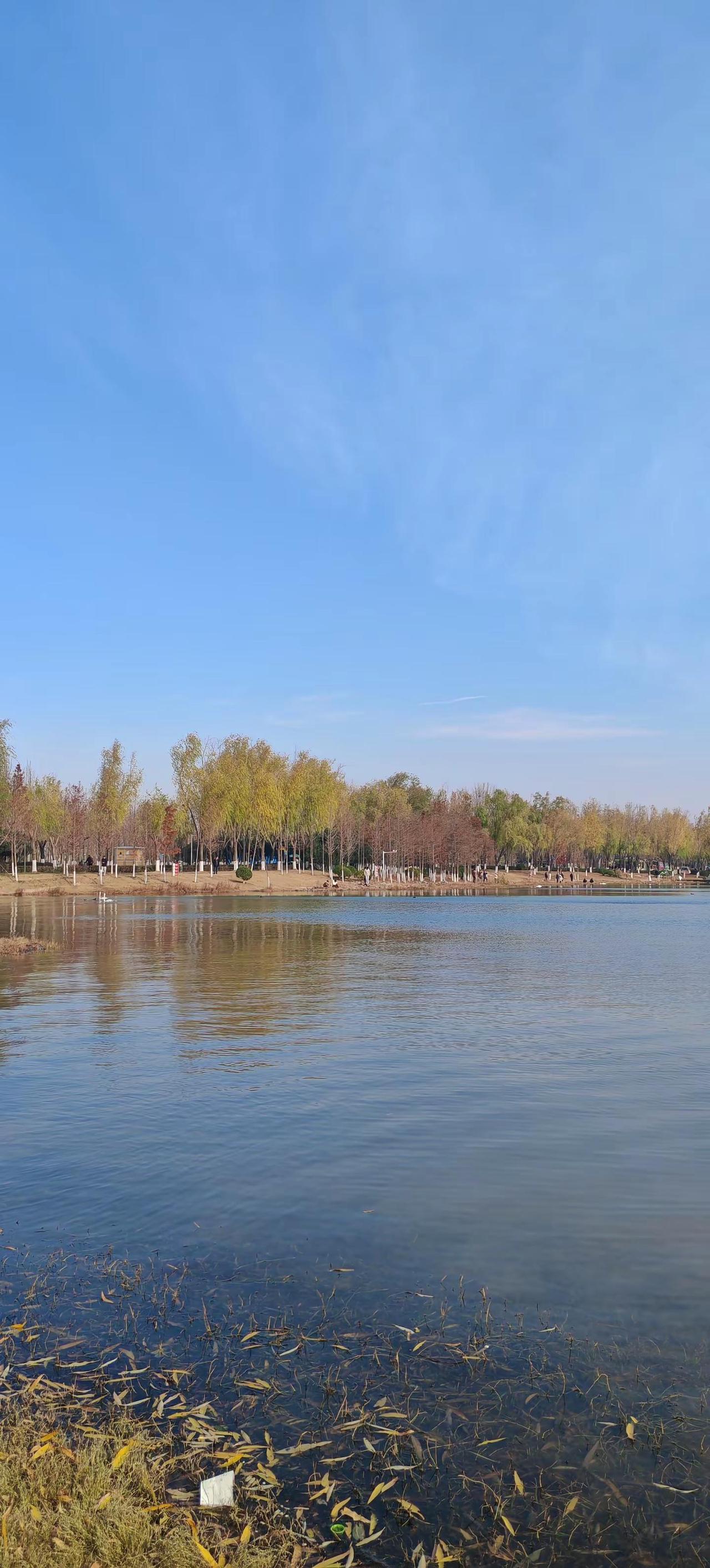 今天是3月3日正月十五元宵节元宵节的第一条祝福送给你元宵元宵烦恼全消愿新的一年诸