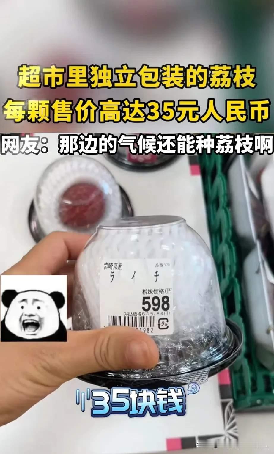 一女子买了一颗中国荔枝和一颗日本荔枝

中国荔枝一颗88日元没有包装直接泡冰水里