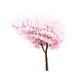 康宁热聊娱乐