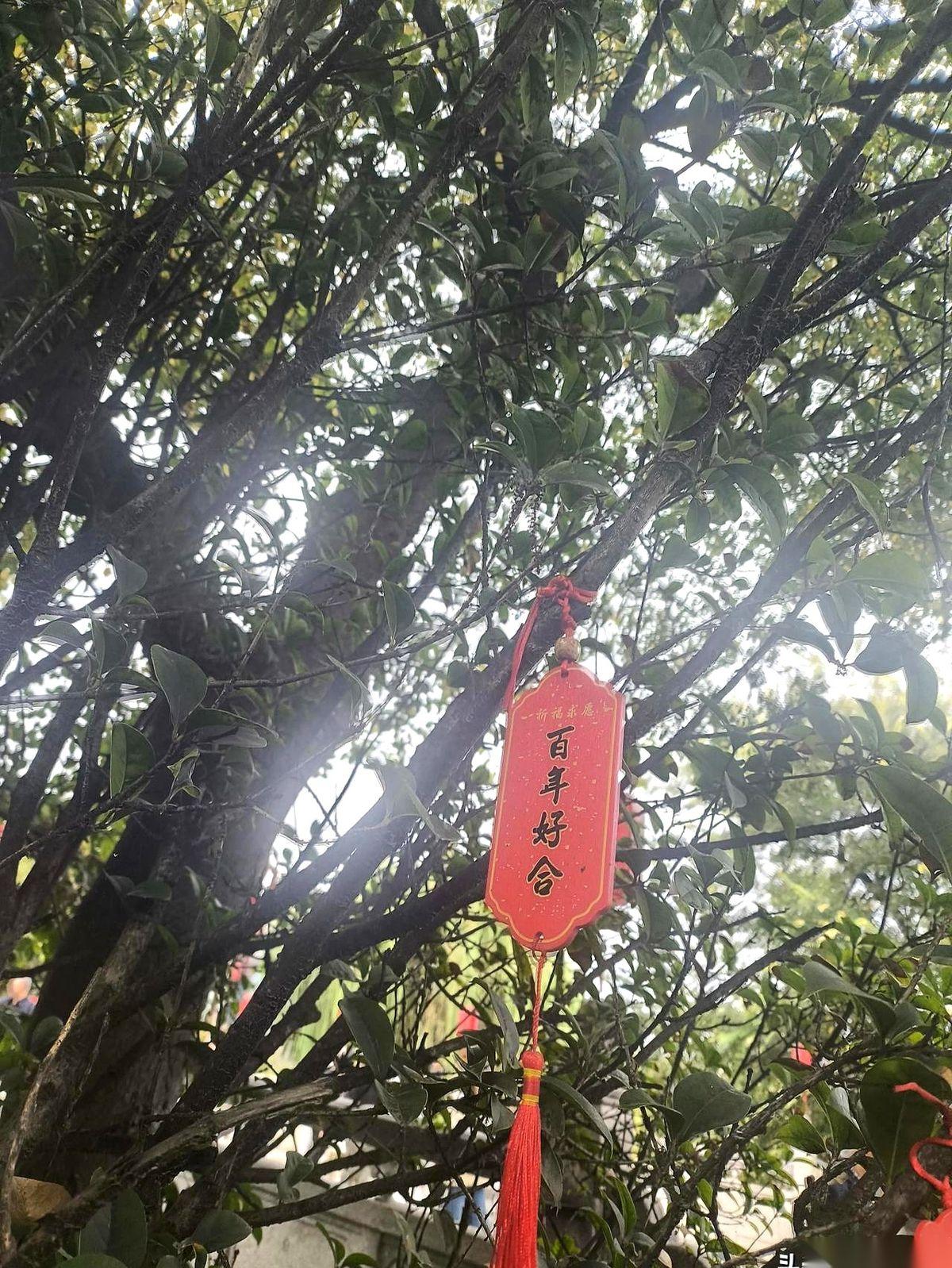 金价在今天已经看到860多元一克，一位打工族正准备给孩子置办金条。
早几年觉得太