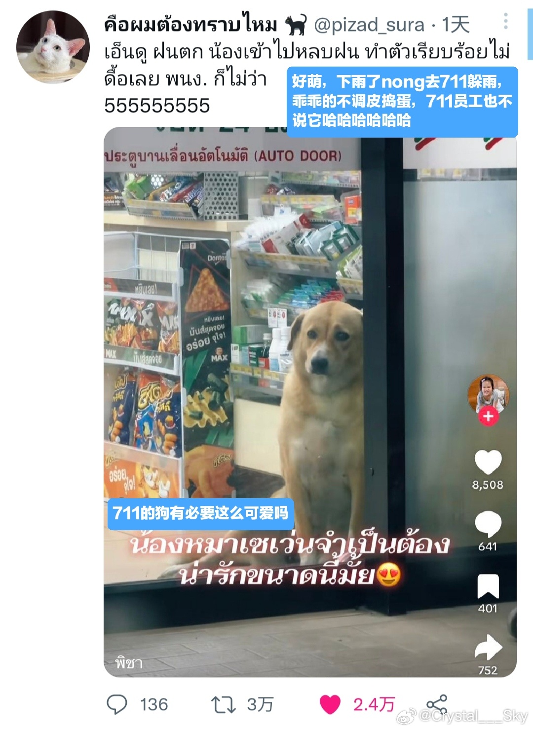 雨季了狗子也emo
