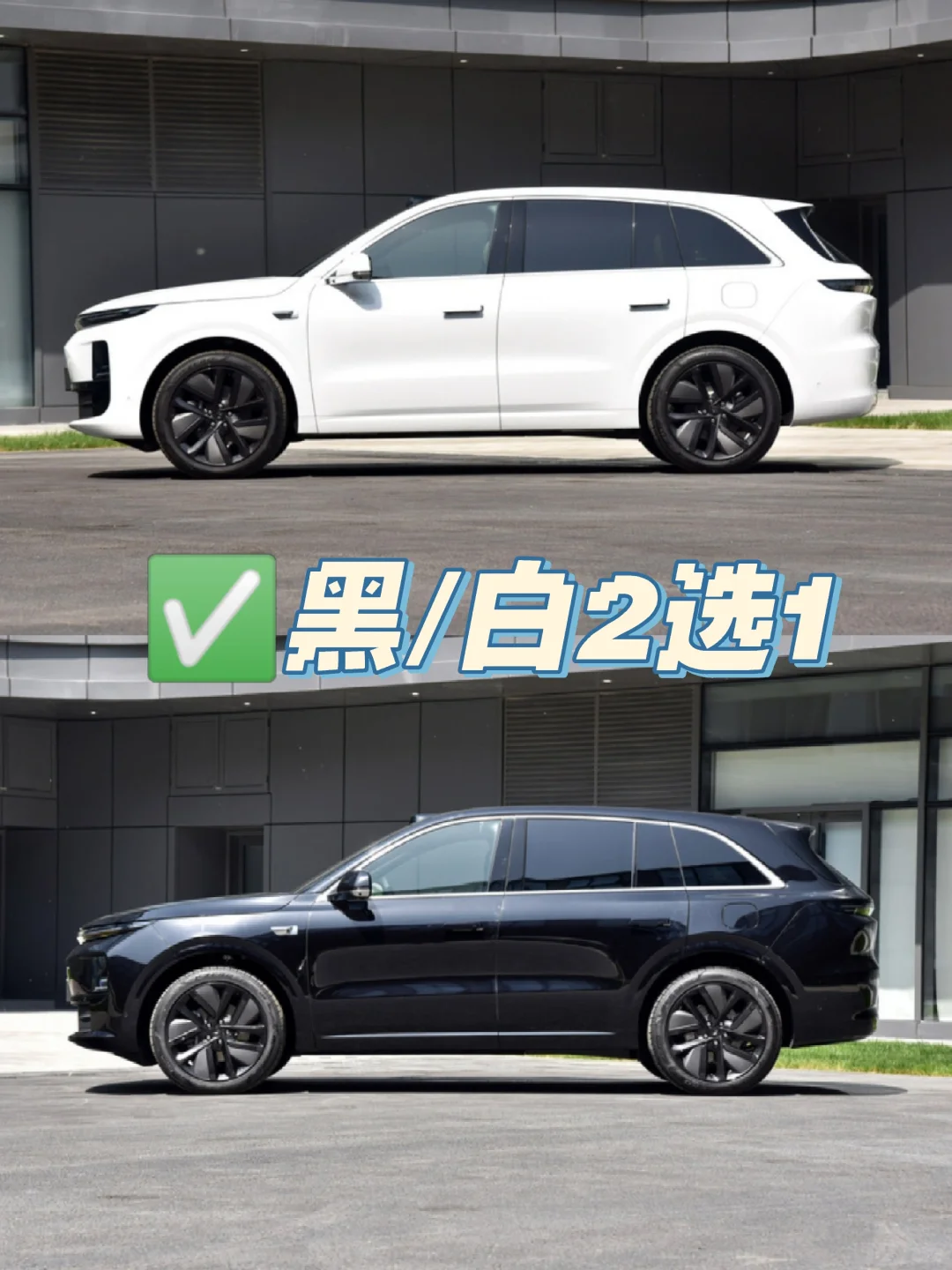🔥黑白2选1！到底该怎么选！