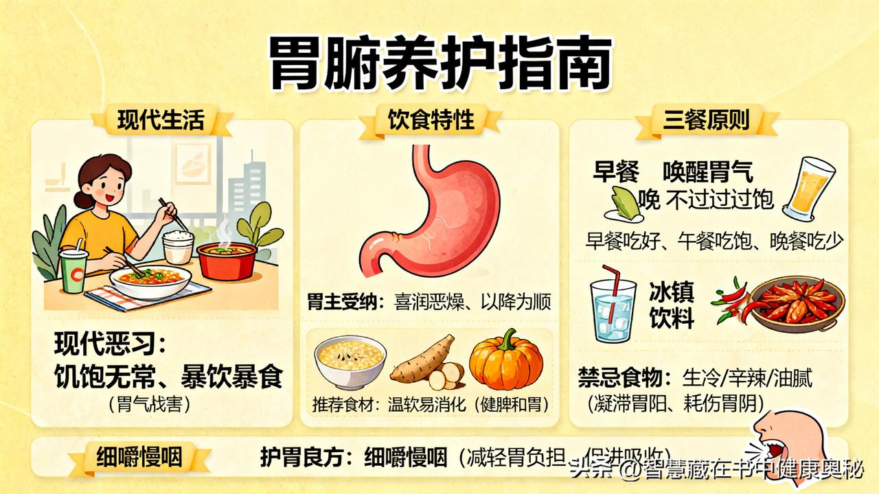 中医经典《黄帝内经》有云：“脾胃者，仓廪之官，五味出焉。”在人体生命的宏大架构中
