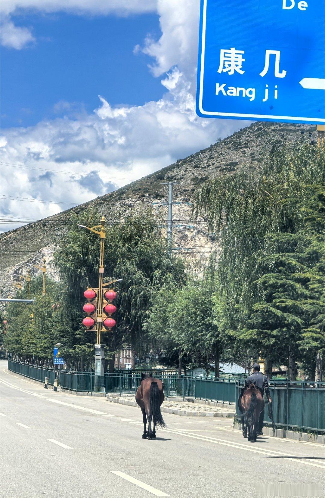 在云南看马，我职业病犯了上周在云南出差，路边看见两匹马在遛弯。同事突然感慨：骑马