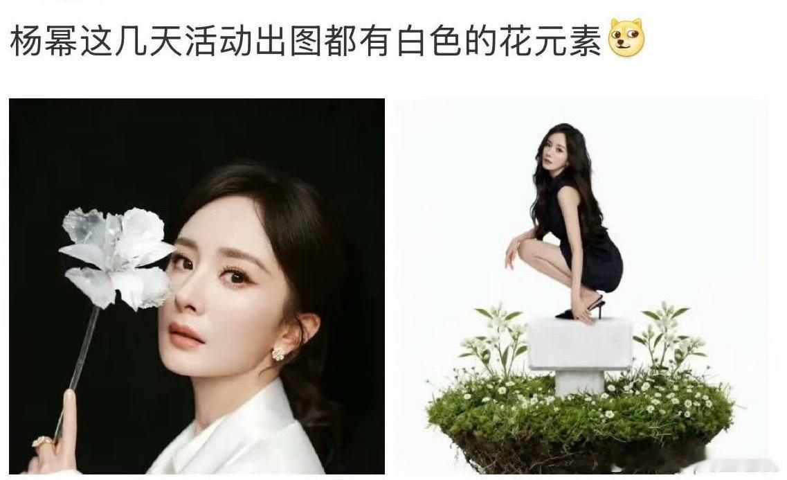 所以杨幂已经收到白玉兰提名的消息了么？她是第一个在暗示白玉兰通知的吧，姐已经迫不