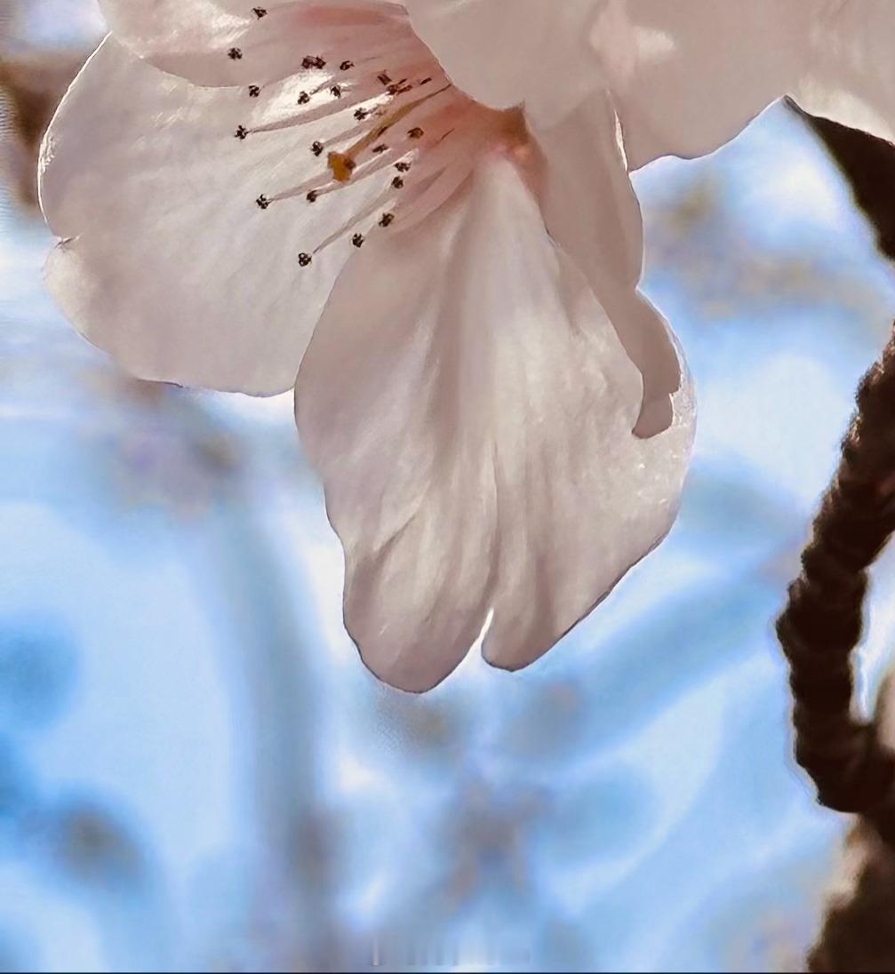 人人存善念，并能日行一善，则个人、家庭、社会一定安乐祥和。这世上，有时笑笑人家，