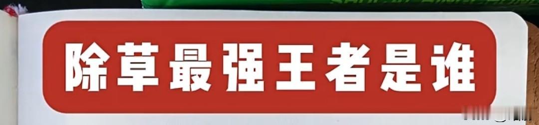 我是积极支持国内的所有产品出口的。去年从事汽车电路维修的兄弟二人，通过技术手段修
