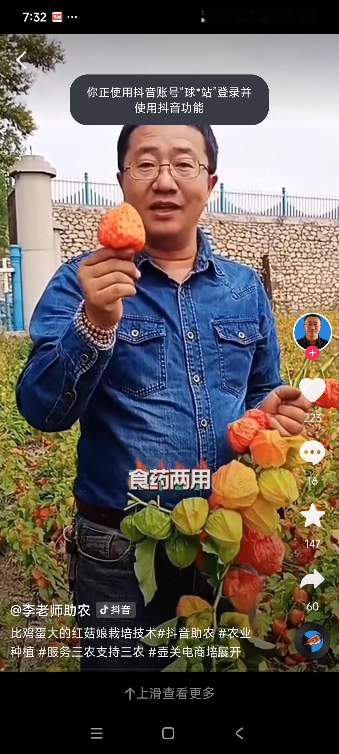 人生几春秋,如何抒豪迈?
不如种菜 
强身健体，丰富饮食，避开农药化肥，有益心身