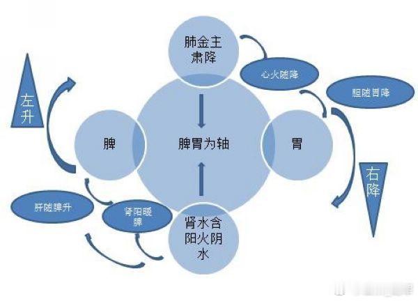 升降出入为气之四维补泻之道以复气机为要；升降以脾胃为枢、肝升肺降为翼，出入以肺肾
