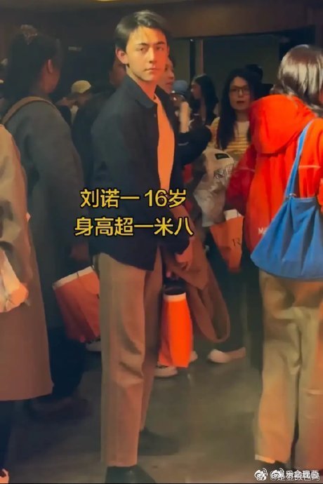 刘烨16岁儿子诺一颜值跟妈妈很像 少年老成 