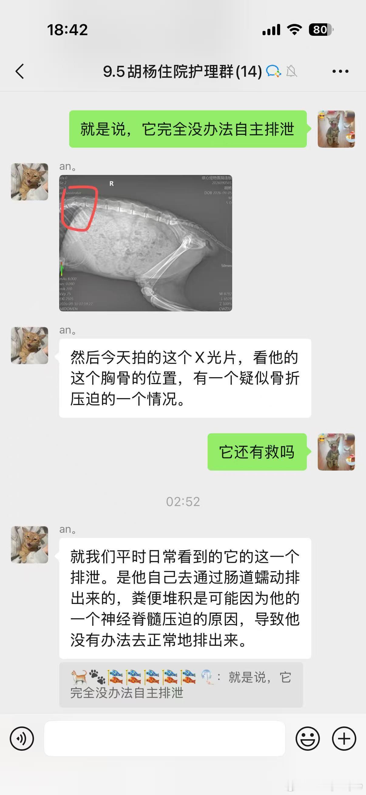小小的它想活下去🙏🏻🙏🏻🙏🏻非常要好的一位姐姐在回家路上遇到的一只小