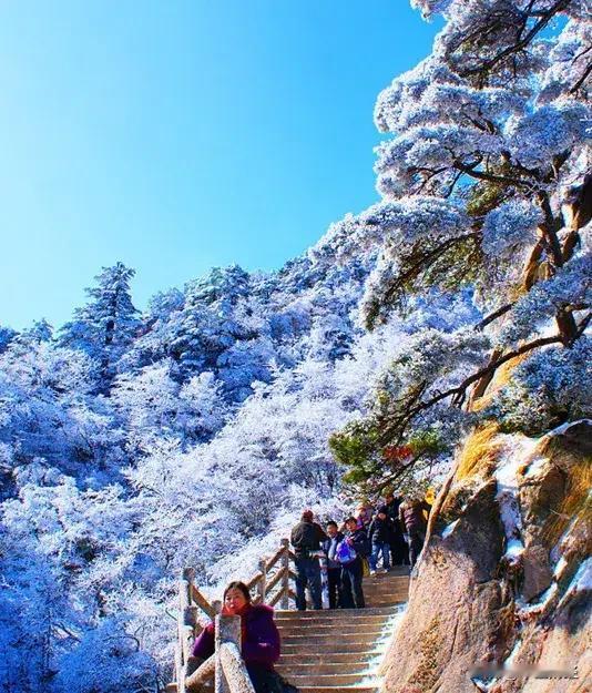 冬日生活随拍只有寒冷的冬天才能看到如此壮观的冬景！这真是冰雪世界，另一番天地啊！
