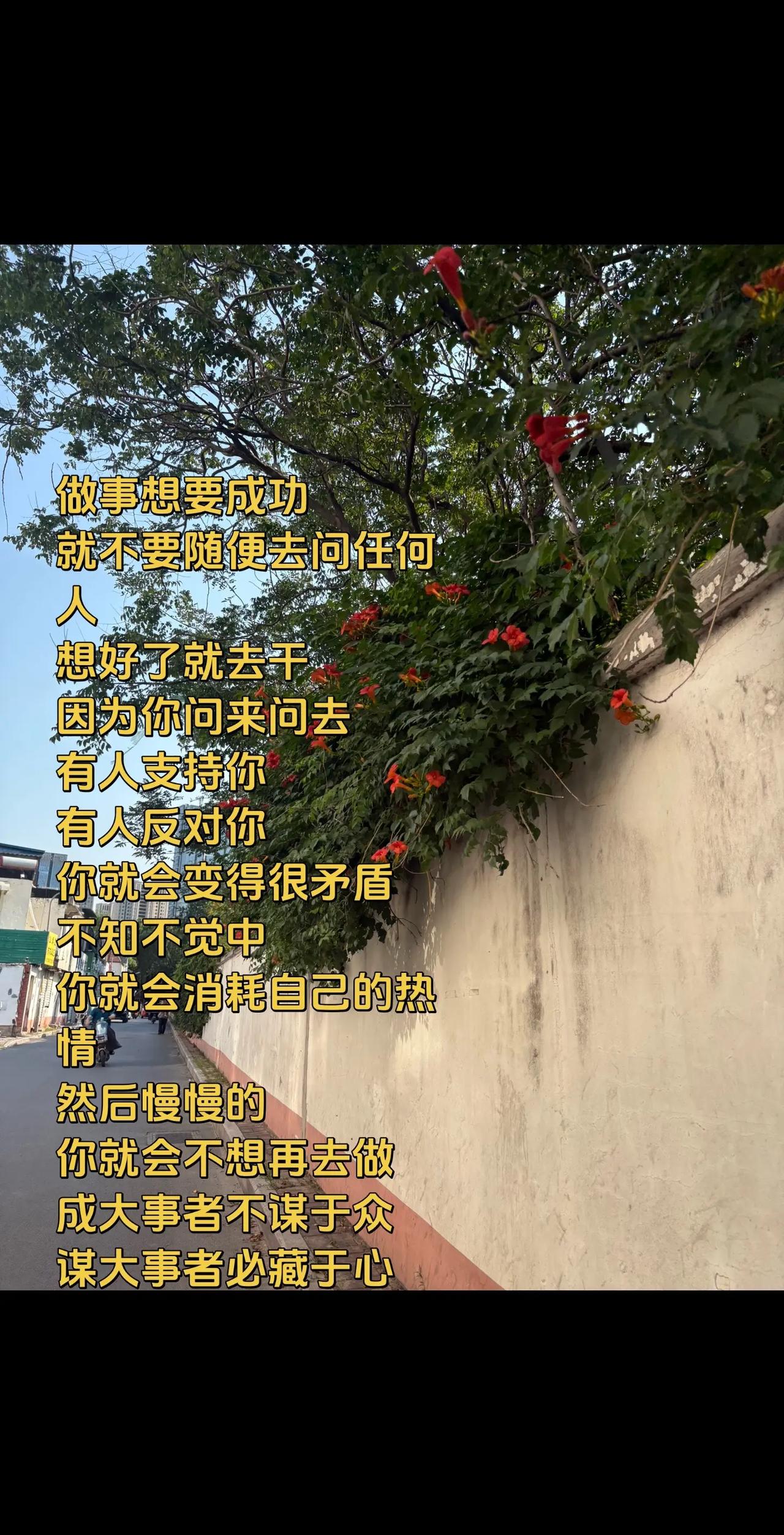 玩法合伙人计划 真实生活分享