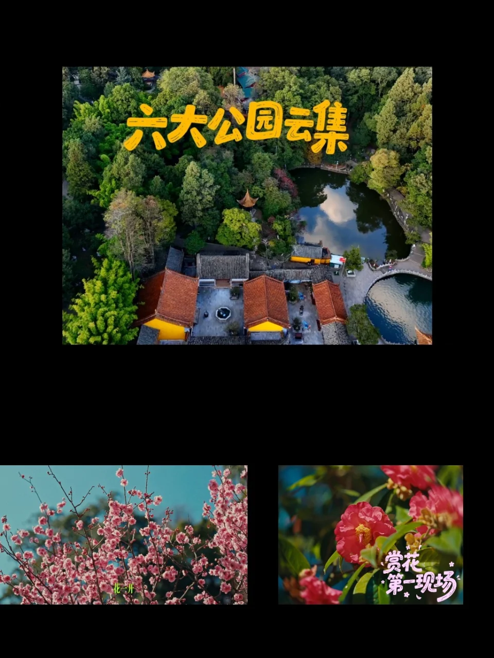 明盘龙赏花大集结！承包你整个春天的浪漫