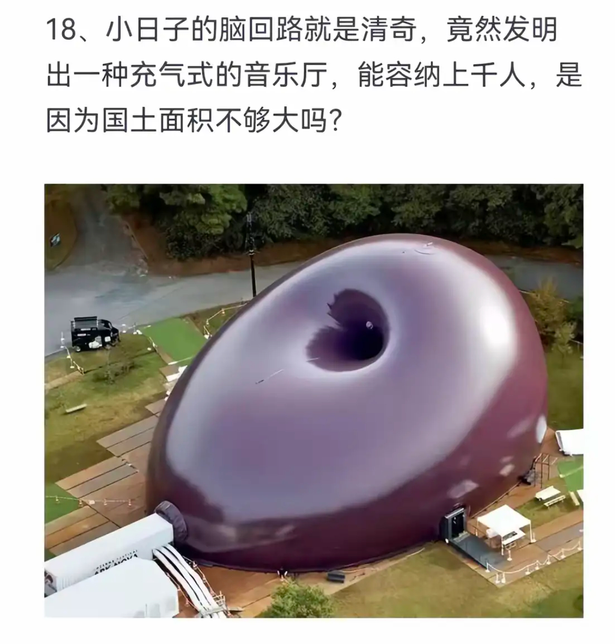小日子的脑回路就是清奇 ​​​